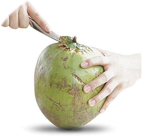 Coconut Water Manual Open Tools Stainless Steel Coconut Opener