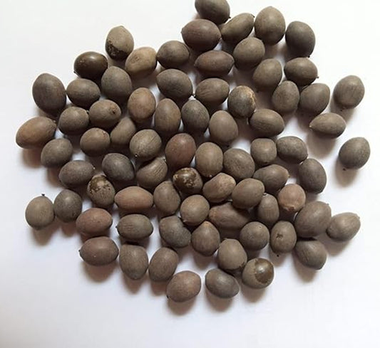 Buy Lotus 40 Seeds with Plant Growth Booster – Easy Germination