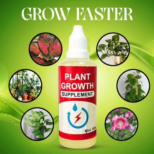 Buy Lotus 40 Seeds with Plant Growth Booster – Easy Germination
