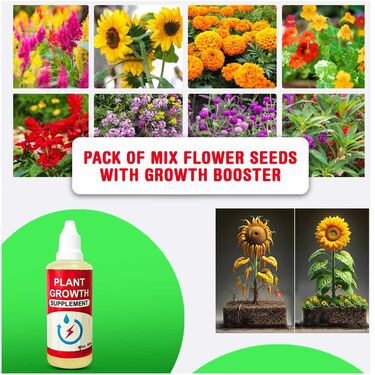 Grass Seeds with Plant Grow Supplement – Boost Root Growth Fast