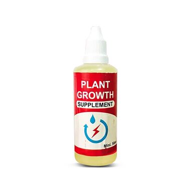 Grass Seeds with Plant Grow Supplement – Boost Root Growth Fast