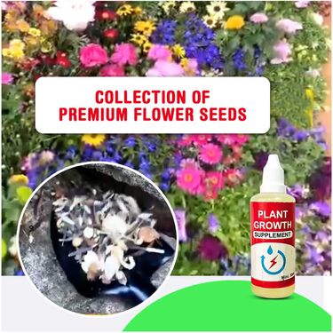 Grass Seeds with Plant Grow Supplement – Boost Root Growth Fast