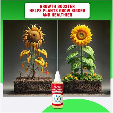 Grass Seeds with Plant Grow Supplement – Boost Root Growth Fast