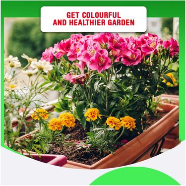 Grass Seeds with Plant Grow Supplement – Boost Root Growth Fast